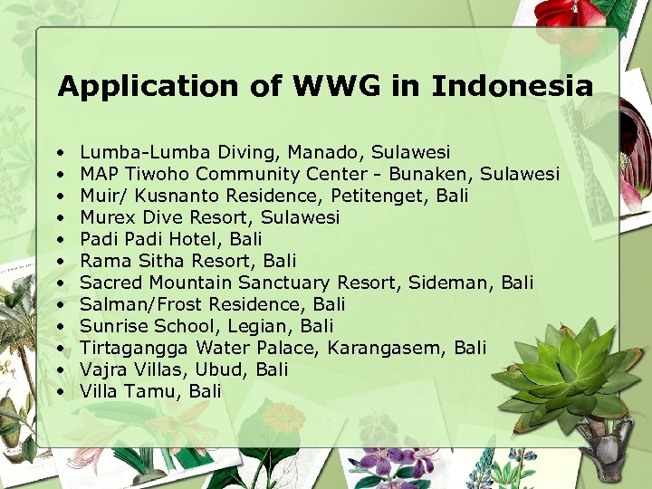 Application of WWG in Indonesia • • • Lumba-Lumba Diving, Manado, Sulawesi MAP Tiwoho