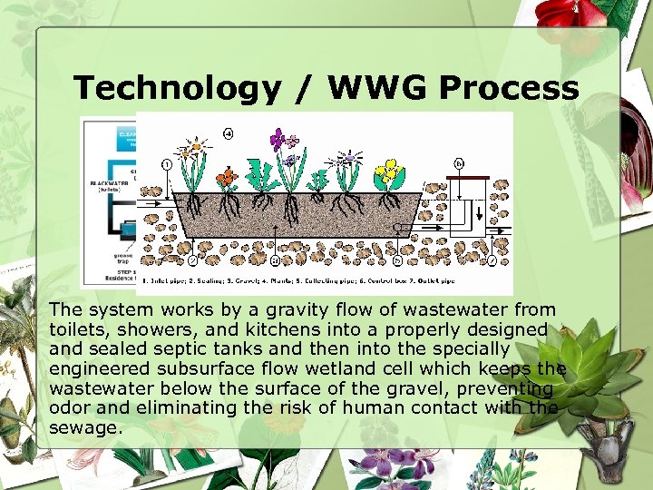 Technology / WWG Process The system works by a gravity flow of wastewater from