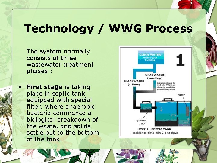 Technology / WWG Process The system normally consists of three wastewater treatment phases :