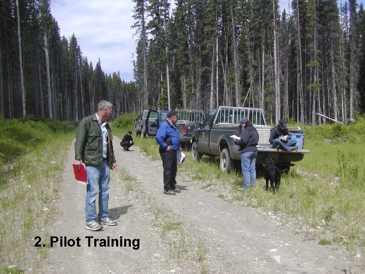 2. Pilot Training 