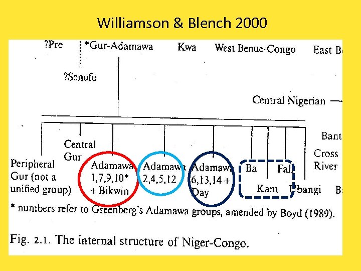 Williamson & Blench 2000 