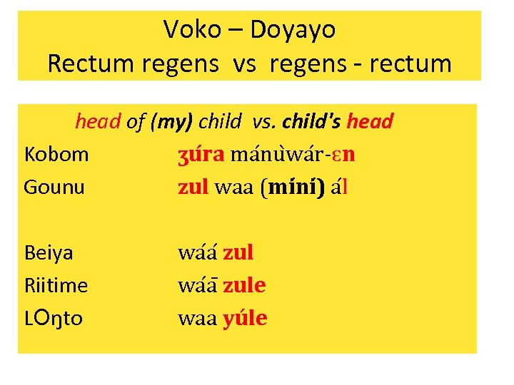 Voko – Doyayo Rectum regens vs regens - rectum head of (my) child vs.