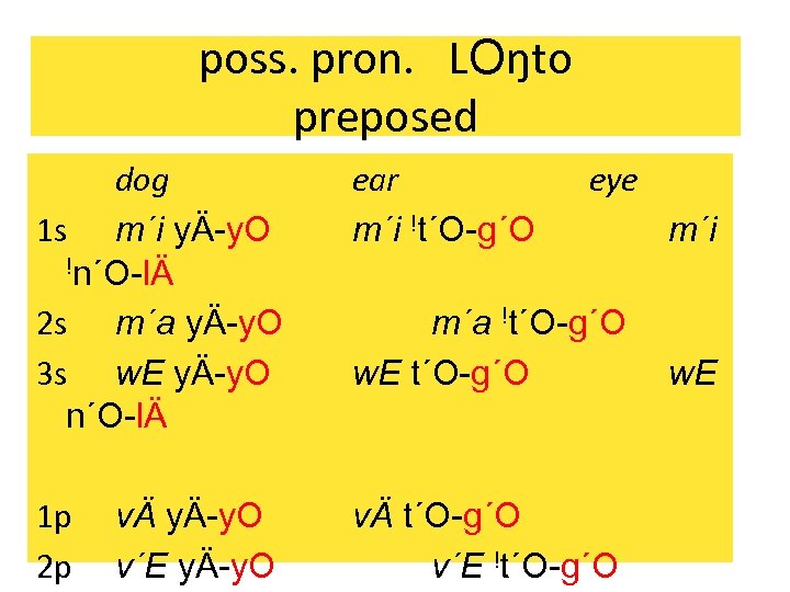 poss. pron. LOŋto preposed dog 1 s m´i yÄ-y. O !n´O-lÄ 2 s m´a