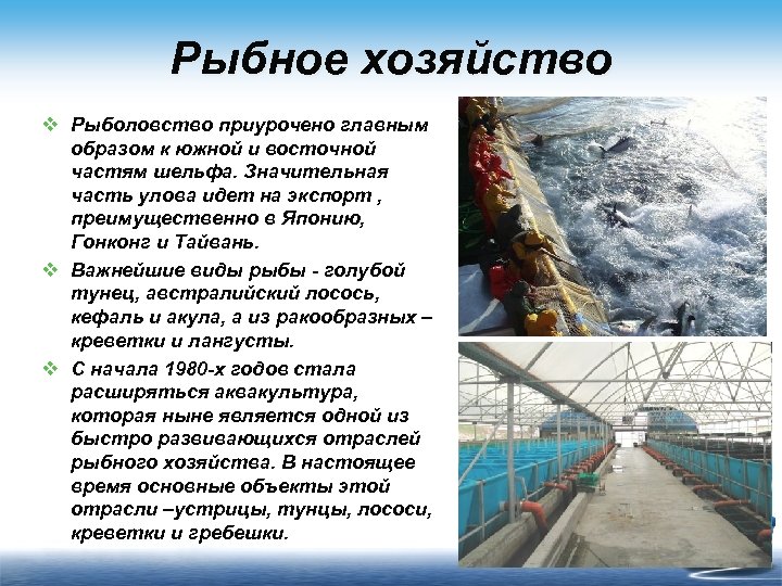 Рыбное хозяйство v Рыболовство приурочено главным образом к южной и восточной частям шельфа. Значительная