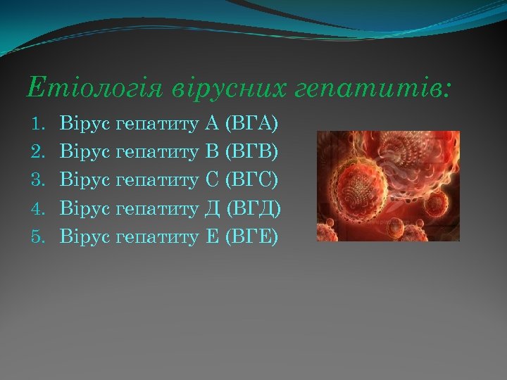 Етіологія вірусних гепатитів: 1. 2. 3. 4. 5. Вірус гепатиту А (ВГА) Вірус гепатиту