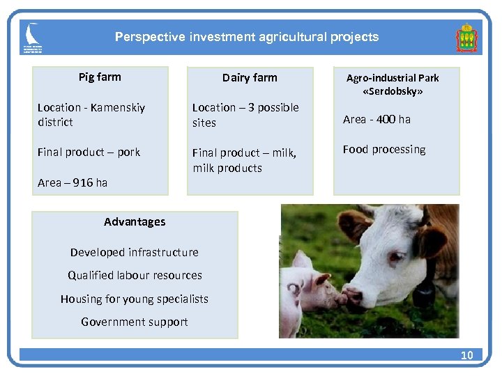 Perspective investment agricultural projects Pig farm Dairy farm Location - Kamenskiy district Location –