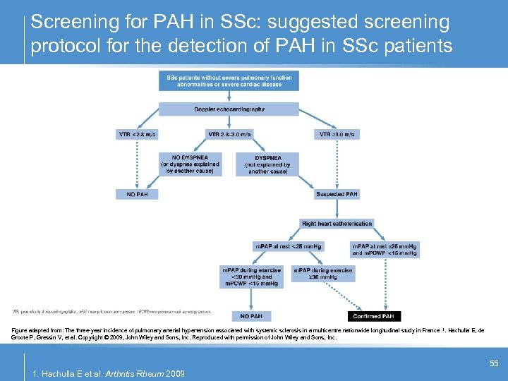 Screening for PAH in SSc: suggested screening protocol for the detection of PAH in