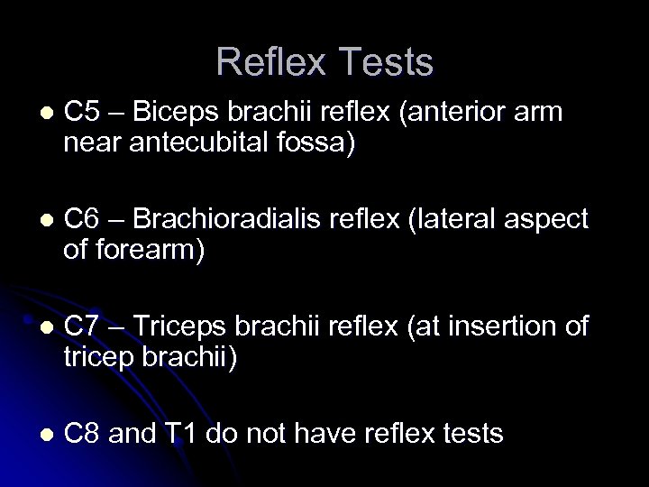 Reflex Tests l C 5 – Biceps brachii reflex (anterior arm near antecubital fossa)