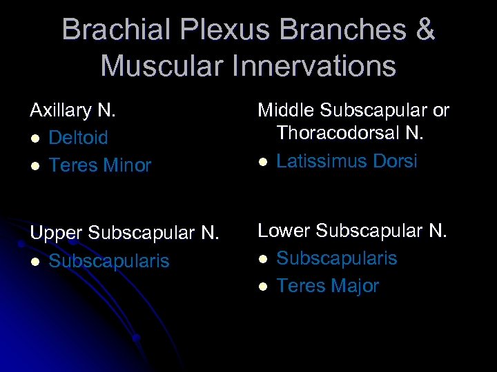 Brachial Plexus Branches & Muscular Innervations Axillary N. l Deltoid l Teres Minor Middle