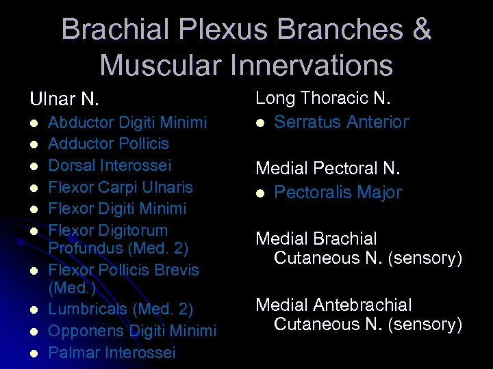 Brachial Plexus Branches & Muscular Innervations Ulnar N. l l l l l Abductor