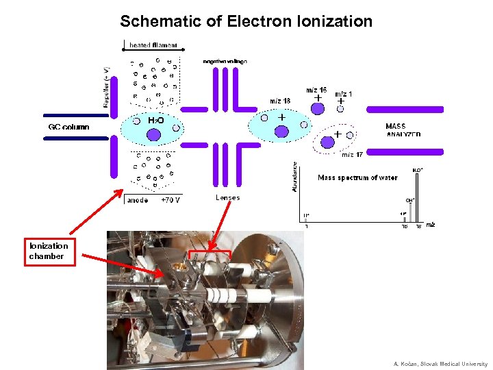 Schematic of Electron Ionization chamber A. Kočan, Slovak Medical University 
