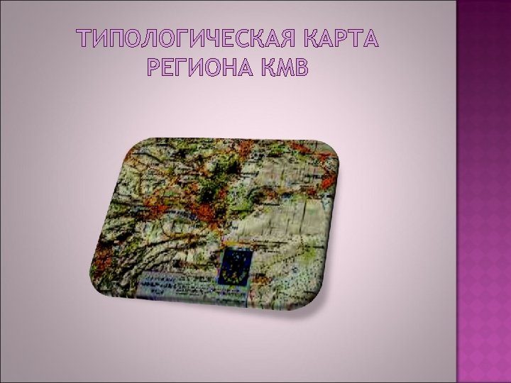 ТИПОЛОГИЧЕСКАЯ КАРТА РЕГИОНА КМВ 