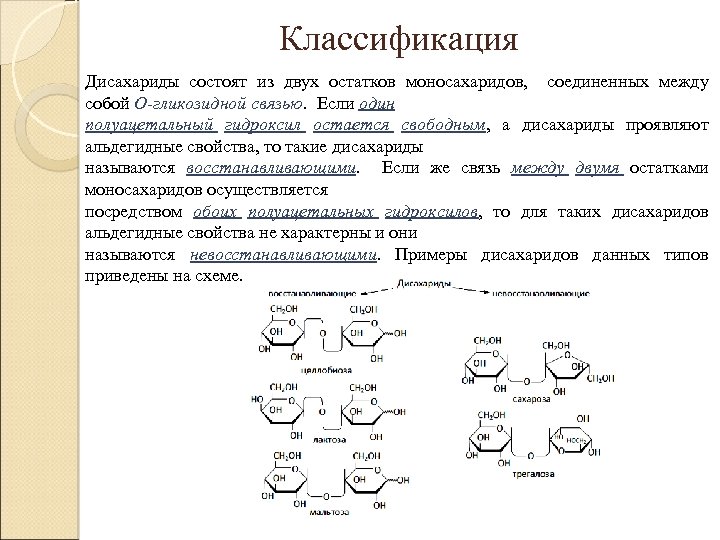 Классификация Дисахариды состоят из двух остатков моносахаридов, соединенных между собой О-гликозидной связью. Если один