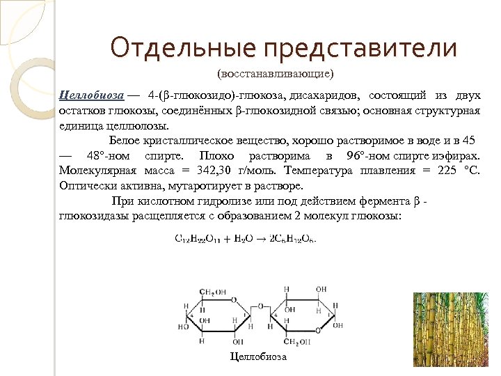 Дисахариды химические свойства. Целлобиоза это олигосахарид. Целлобиоза это углевод. Целлюлоза и целлобиоза. Целлобиоза название по номенклатуре.