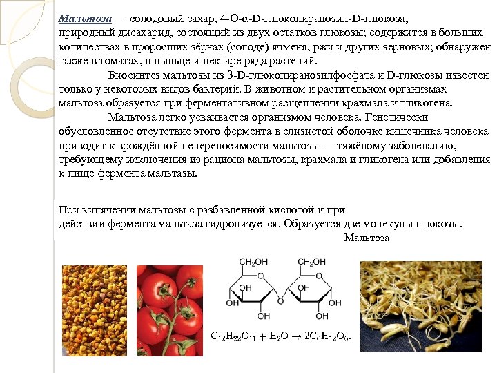 Углеводы моно