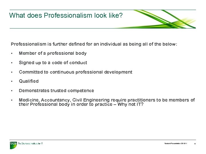 What does Professionalism look like? Professionalism is further defined for an individual as being