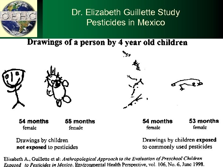 Dr. Elizabeth Guillette Study Pesticides in Mexico 