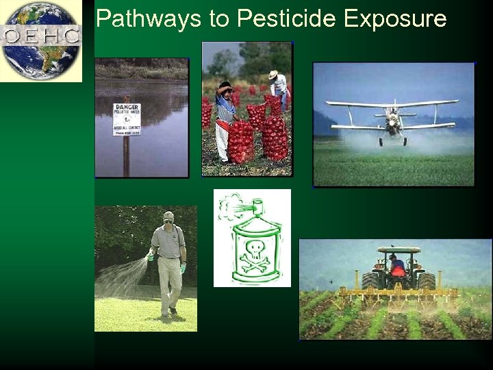 Pathways to Pesticide Exposure 