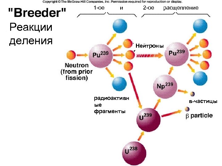 1 -ое и Реакции деления 2 -ое расщепление Нейтроны радиоактивн ые фрагменты в-частицы 