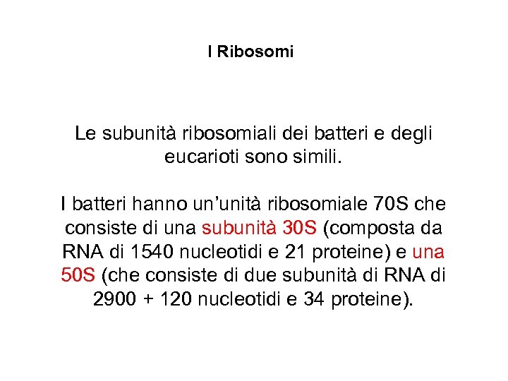I Ribosomi Le subunità ribosomiali dei batteri e degli eucarioti sono simili. I batteri