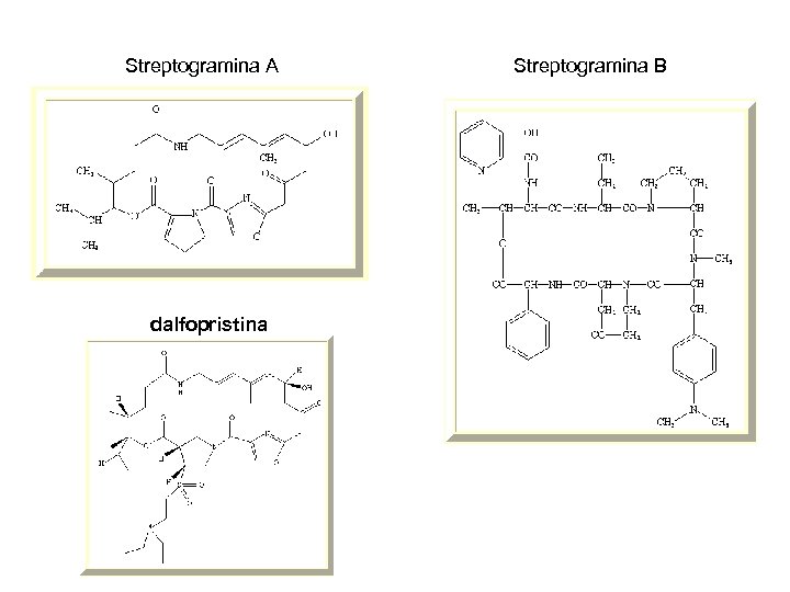 Streptogramina A dalfopristina Streptogramina B 
