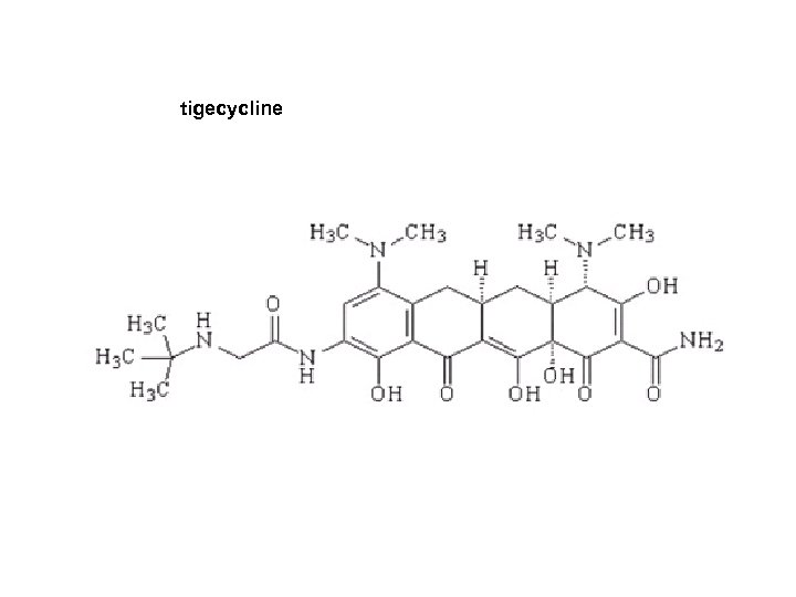 tigecycline 