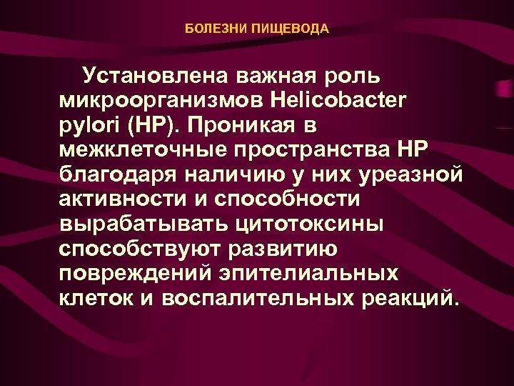 БОЛЕЗНИ ПИЩЕВОДА Установлена важная роль микроорганизмов Helicobacter pylori (HP). Проникая в межклеточные пространства НР