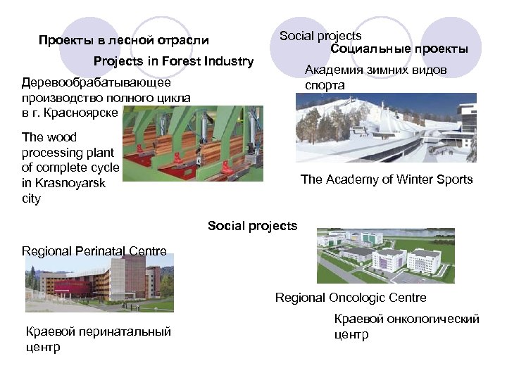 Проекты в лесной отрасли Projects in Forest Industry Social projects Социальные проекты Академия зимних