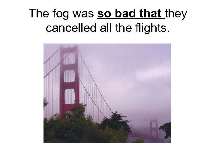 The fog was so bad that they cancelled all the flights. 