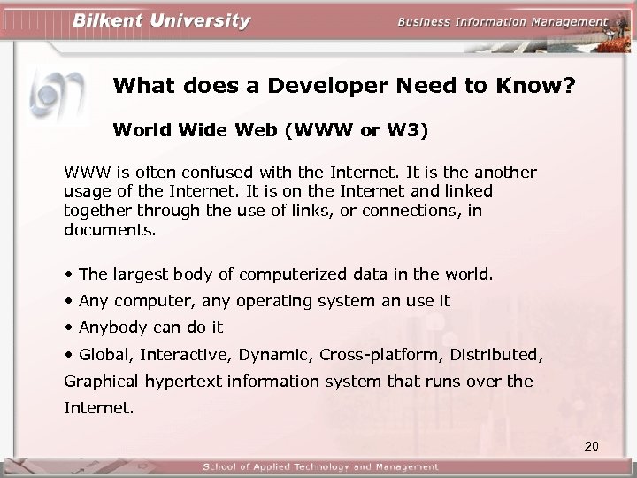 What does a Developer Need to Know? World Wide Web (WWW or W 3)