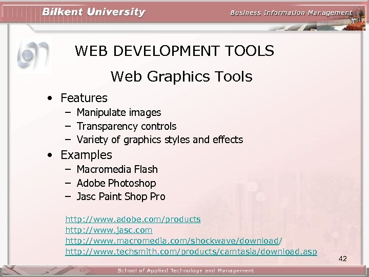 WEB DEVELOPMENT TOOLS Web Graphics Tools • Features – Manipulate images – Transparency controls