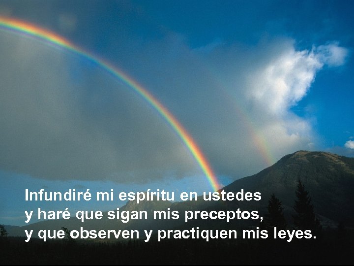 Infundiré mi espíritu en ustedes y haré que sigan mis preceptos, y que observen