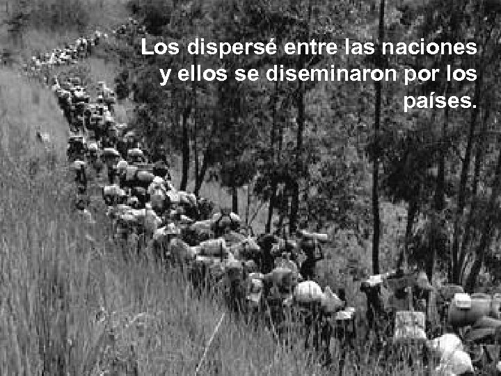 Los dispersé entre las naciones y ellos se diseminaron por los países. 