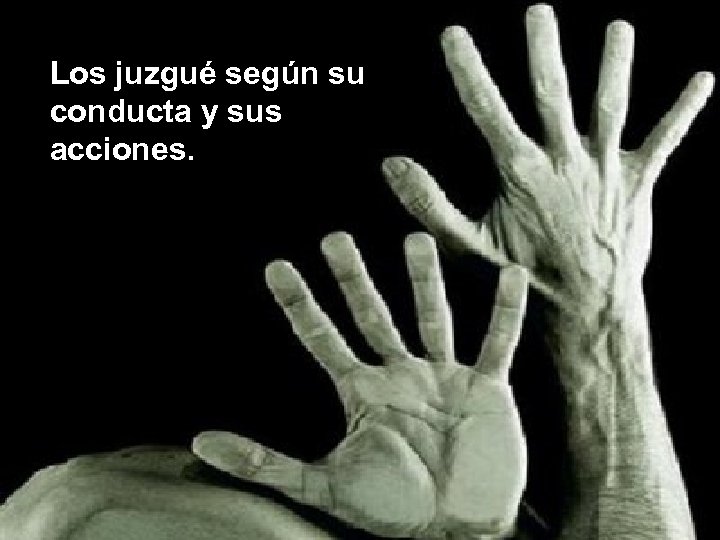 Los juzgué según su conducta y sus acciones. 
