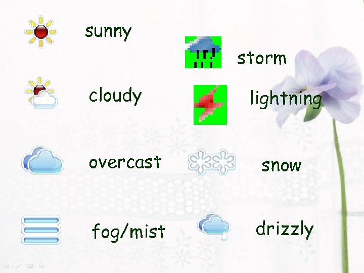 sunny storm cloudy lightning overcast snow fog/mist drizzly 