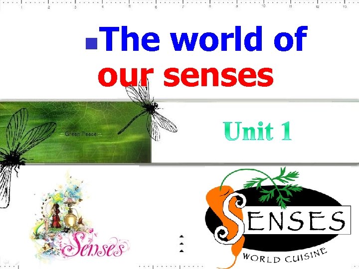 The world of our senses n 