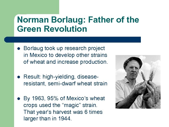 Norman Borlaug: Father of the Green Revolution l Borlaug took up research project in