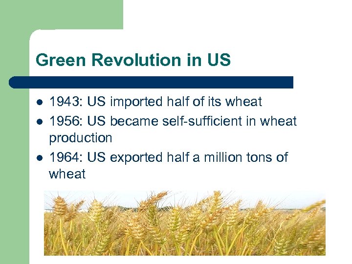 Green Revolution in US l l l 1943: US imported half of its wheat