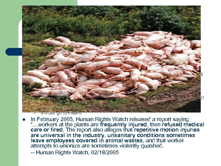 Smithfield Foods l l The largest hog producer in the USA Profits of $11.