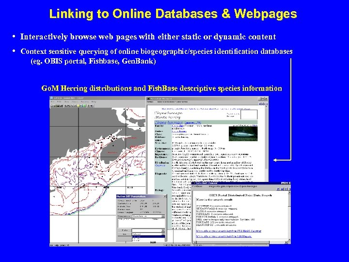 Linking to Online Databases & Webpages • Interactively browse web pages with either static