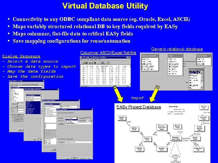 Virtual Database Utility • • Connectivity to any ODBC compliant data source (eg. Oracle,