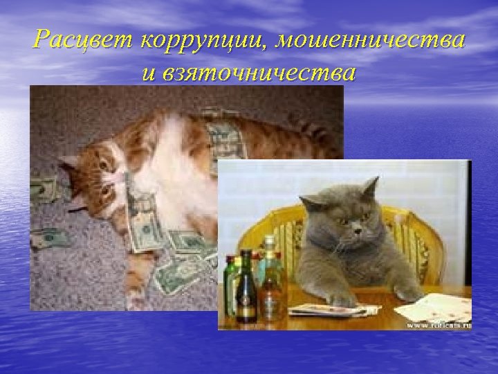 Расцвет коррупции, мошенничества и взяточничества 