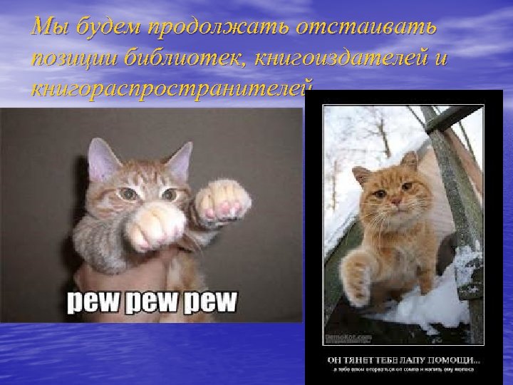 Мы будем продолжать отстаивать позиции библиотек, книгоиздателей и книгораспространителей 