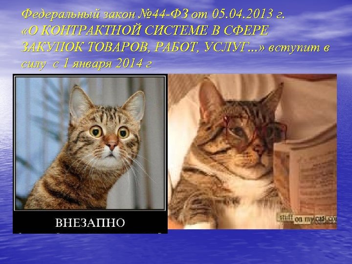 Федеральный закон № 44 -ФЗ от 05. 04. 2013 г. «О КОНТРАКТНОЙ СИСТЕМЕ В