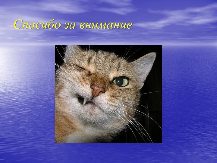 Спасибо за внимание 