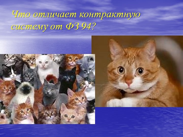 Что отличает контрактную систему от ФЗ 94? 