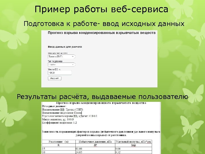 Пример работы веб сервиса Подготовка к работе ввод исходных данных Результаты расчёта, выдаваемые пользователю