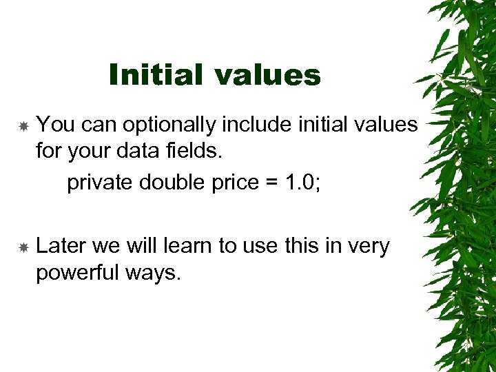 Initial values You can optionally include initial values for your data fields. private double