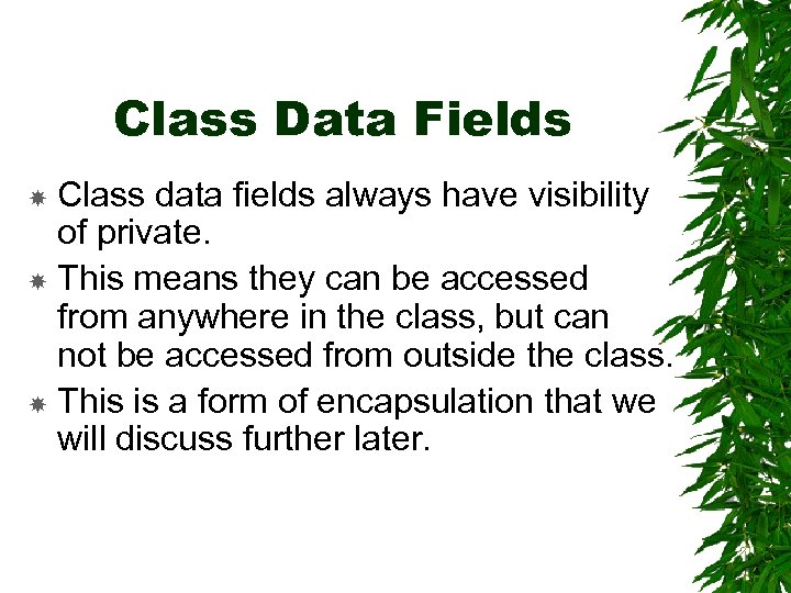 Class Data Fields Class data fields always have visibility of private. This means they