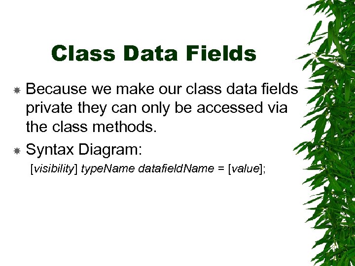 Class Data Fields Because we make our class data fields private they can only